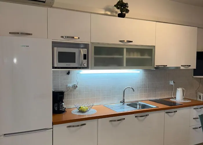 Sea Life With Terrace And Barbecue Apartment *